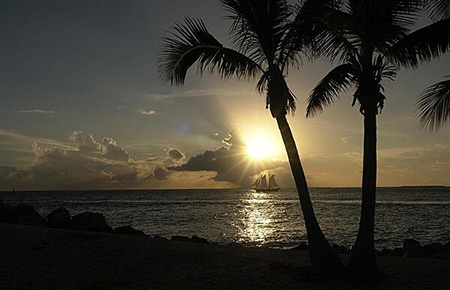 Beautiful sunset with palm trees and beach